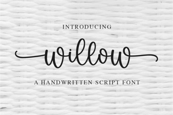 Willow Font: an Elegant, Modern Typography Choice